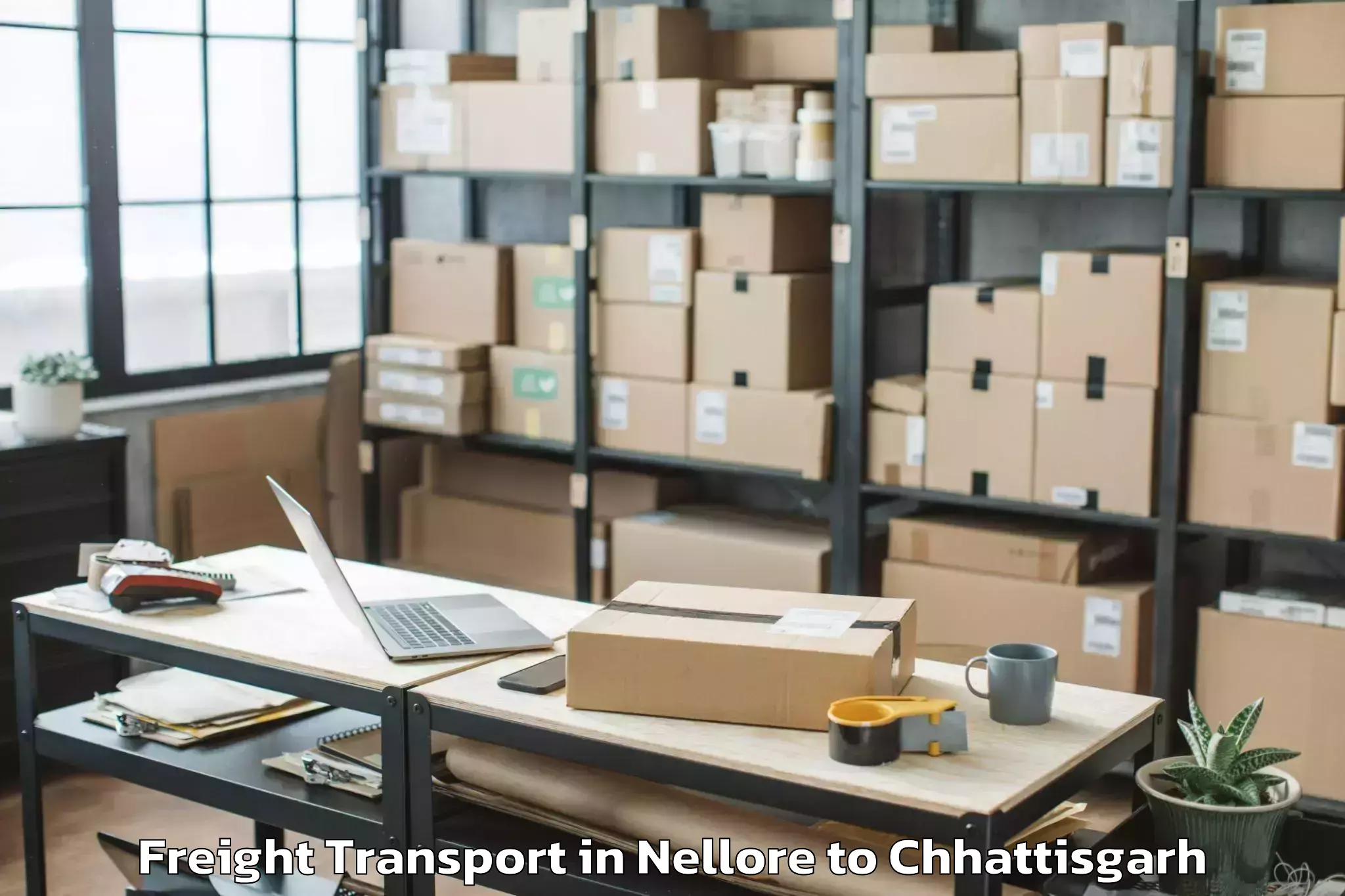 Quality Nellore to Dabhara Freight Transport